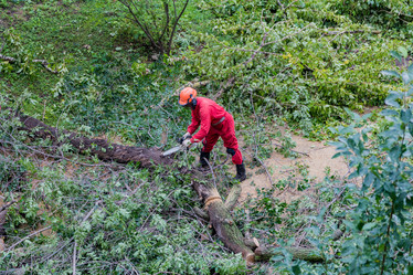 Similar image 16923572