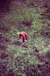 Similar image 16923574