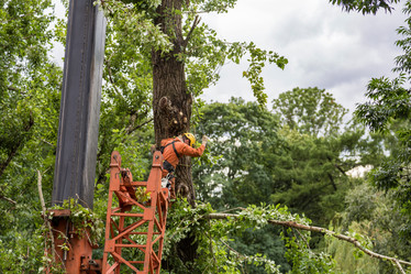 Similar image 16923578