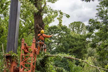 Similar image 16923580