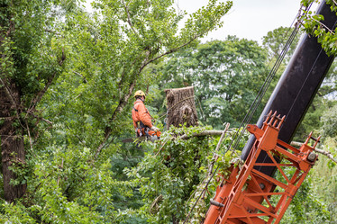 Similar image 16923582