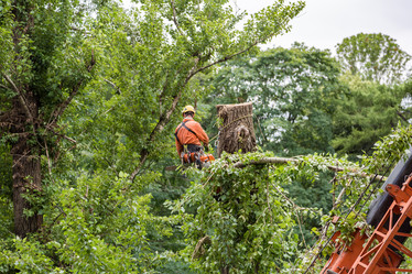 Similar image 16923584