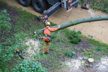 Similar image 16923586