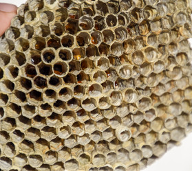 Similar image 17541935