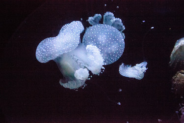 Similar image 16924236