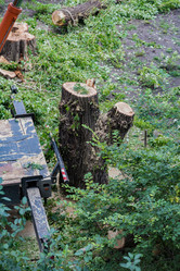 Similar image 16923595