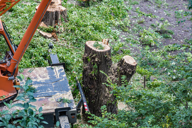 Similar image 16923596