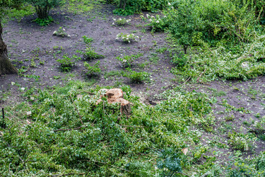 Similar image 16923597