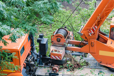 Similar image 16923598