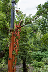 Similar image 16923568