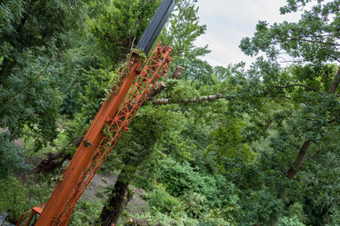 Similar image 16923569