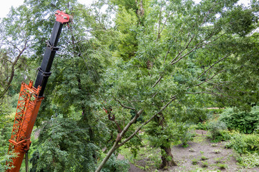 Similar image 16923571