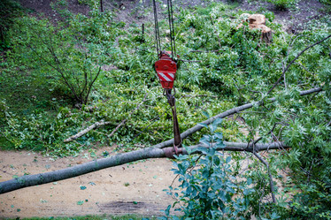 Similar image 16923575