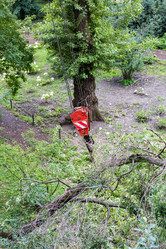 Similar image 16923577