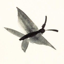 Similar image 16742957