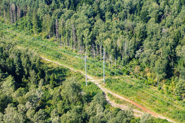 Similar image 16742872