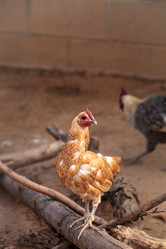 Similar image 16924209