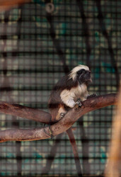 Similar image 16924210