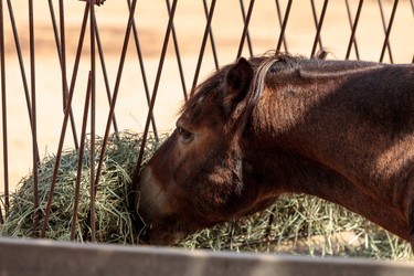 Similar image 16924212