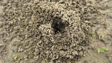 Similar image 17539745