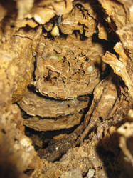 Similar image 17539769