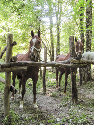 Similar image 17539954