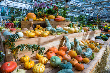 Similar image 16923604