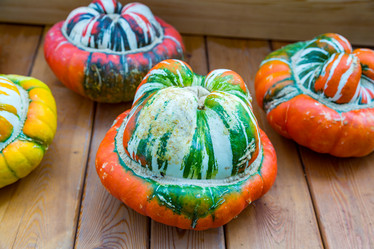 Similar image 16923606