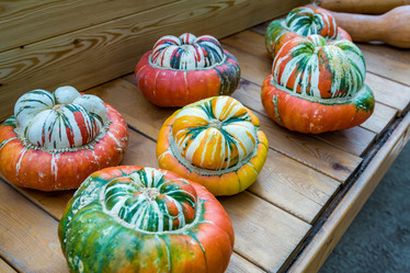 Similar image 16923607