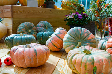 Similar image 16923608