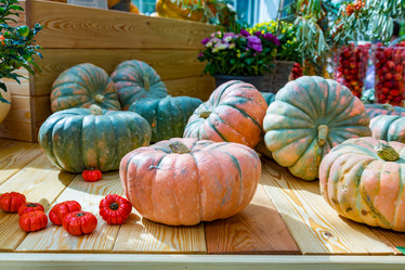 Similar image 16923609