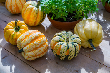 Similar image 16923610