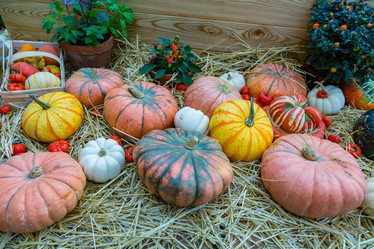 Similar image 16925151