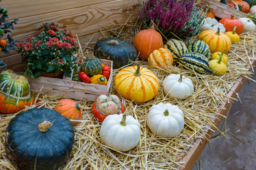 Similar image 16925152