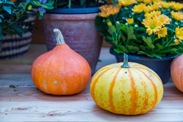 Similar image 16925153