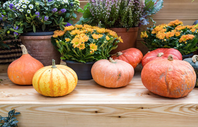 Similar image 16925154