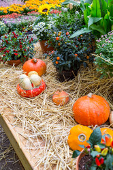 Similar image 16925155