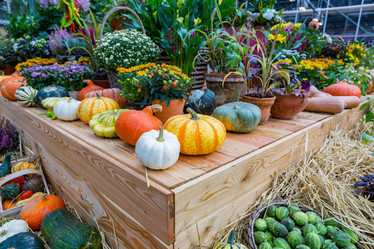 Similar image 16925156