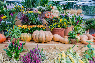 Similar image 16925165