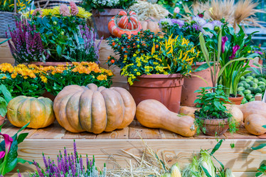 Similar image 16925166