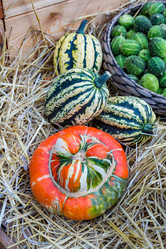 Similar image 16925168