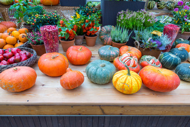 Similar image 16925169