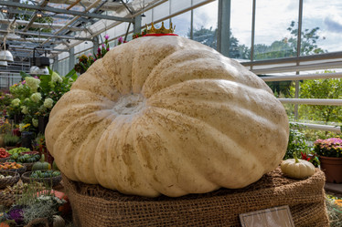 Similar image 16925201