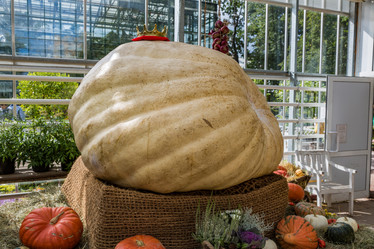 Similar image 16925203