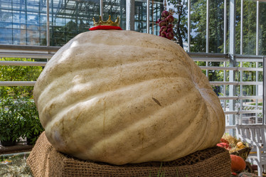 Similar image 16925204