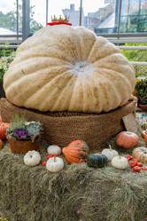 Similar image 16925206