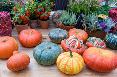 Similar image 16923579