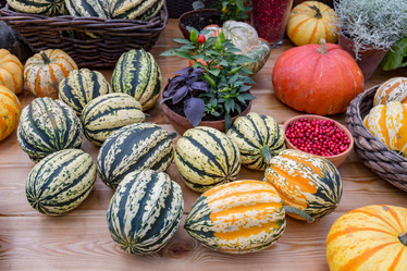 Similar image 16923581