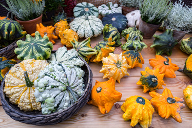 Similar image 16923583