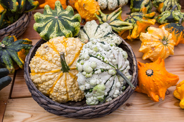 Similar image 16923585